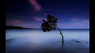 Lời dịch bài hát Song For A Stormy Night